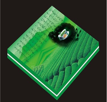 福建印刷行業(yè)的領(lǐng)軍者 從區(qū)域標桿到技術(shù)創(chuàng)新